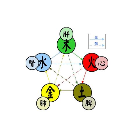 5行 木|五行（对万事万物的取象比类）